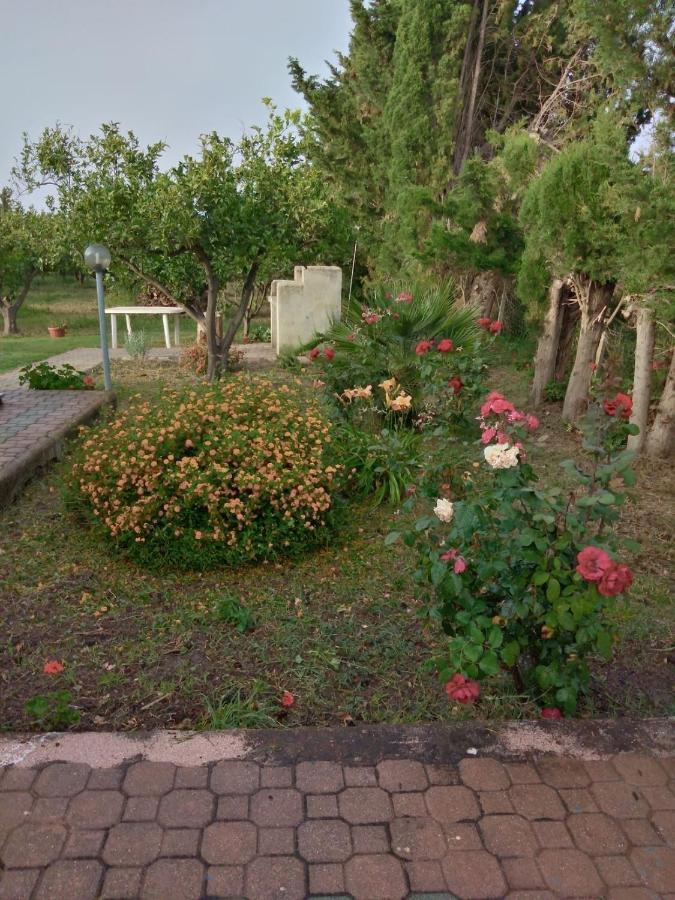 Appartamento In Orosei In Villa Delle Arance 300Mt Dalla Spiaggia Eksteriør bilde