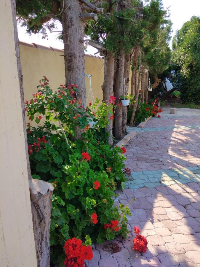 Appartamento In Orosei In Villa Delle Arance 300Mt Dalla Spiaggia Eksteriør bilde