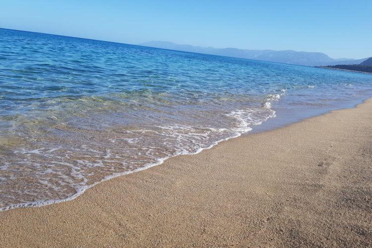 Appartamento In Orosei In Villa Delle Arance 300Mt Dalla Spiaggia Eksteriør bilde