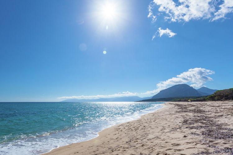 Appartamento In Orosei In Villa Delle Arance 300Mt Dalla Spiaggia Eksteriør bilde